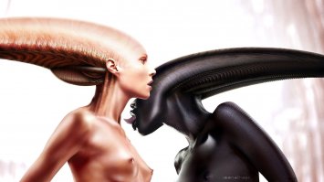 И я так понял: