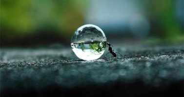 Сфера - куда уж идеальнее?