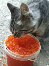 Ему и без голды нехило