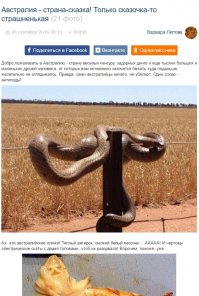 И даже пары дней, блин, не прошло.