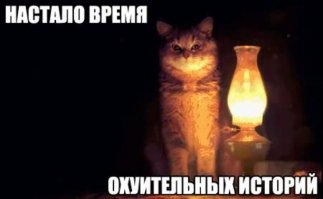  В изолятор за уплаченный штраф