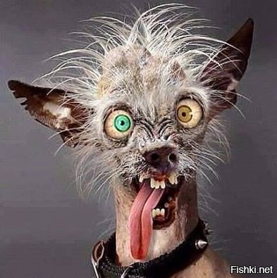 Моника в объективе папарацци