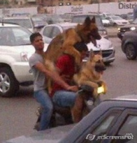 эээм... а управляет тот кто сзади сидит?  Хрена у него руки длинные...