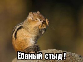 В мире животных