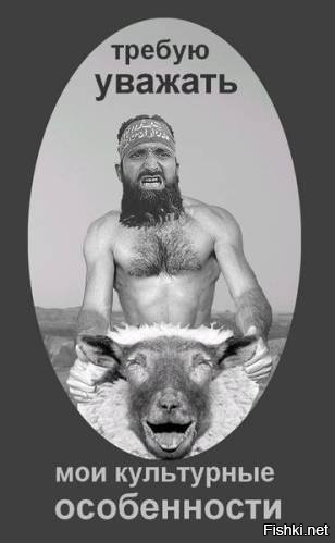 Мусульманку остановили за использование телефона во время вождения, но у нее нашлось оправдание