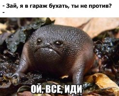 Немного автокартинок