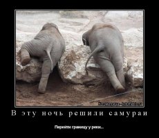 Повзрослевшая слониха-сирота вернулась к своим спасателям с малышом