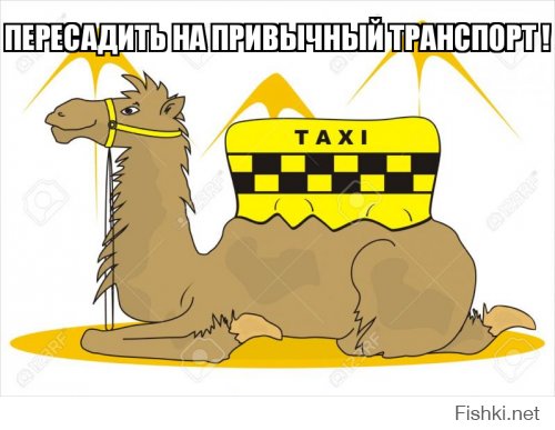 Мусульманку остановили за использование телефона во время вождения, но у нее нашлось оправдание