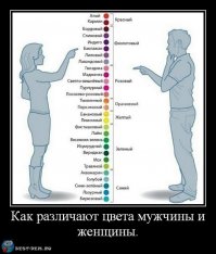 Тест на знание цветов (10 вопросов)