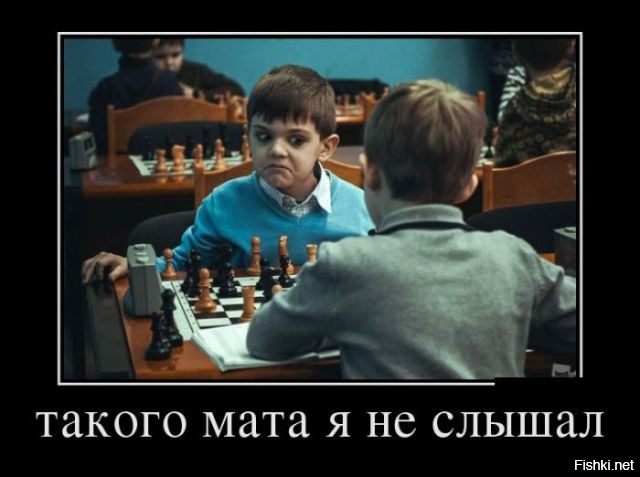 Солянка интересных фотографий