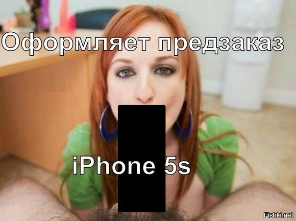 В мире животных