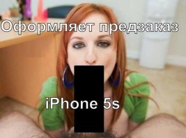 В мире животных