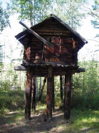 Вообще дом на дереве имеет вполне себе функциональное объяснение... 
Но только в тайге, где нужно уберечь припасы или снег выпадает под 2 метра :) 
В Германии делать дом на дереве это не очень понятно :)