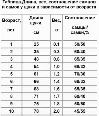 ... ох, спи...дел, так спи... дел, автор 
В недобрый час разместил пост - рыбаков тут полно 
Не поленился, в графическом редакторе отмассштабировал щучек и сравнил с пачкой сигарет.
Вывод однозначный - вес каждой не больше 1,7 - 1,8 кг. :)
Кроме того, при разделке, на филе приходится 60-70% от общего веса (остальное голова, хребет, потроха, плавники), даже если бы щучки весили 6 кг. , то на филе пришлось бы не больше 4 кг..   
Теперь возьмем объемный вес. Человек на 90% состоит из воды, что уж о рыбе говорить. Щука как любая рыба, что бы добиться нейтральной плавучести имеет так называемый плавательный пузырь, объем его у экземпляра под 3 кг. не больше сто граммовой стопки :) понятно, что филе массой 5,5 кг. должно занимать объем не меньше чем объем 4 литровой кастрюли, автор то, что у тебя на дне 3х литровой кастрюли не тянет на 2 кг.  
... ну, про снятие шкуры вообще молчу 
На филе щука разделывается за пару минут и чем она больше, тем легче (ролик смотреть на 3 и 5 минуте :) ). 
Автора прошу не обижаться на коммент, просто рыбачу на Тазовской губе и на спиннинг ловил щук под 12 кг. :) 
... будущим адептам приведенного рецепта, рекомендую при изготовления фарша добавить немного обычного сала и сделать обыкновенные же щучьи котлеты - пальчики оближите