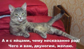 Ужос, самому себя кастрировать, это ж против природы! Я котофея то, запретил.