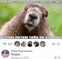 Сам Ты бобёр, а я СУРОК!!!!!!
