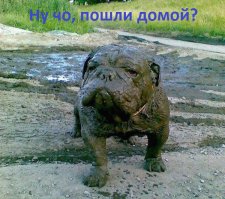 Неприятности случаются с каждым: свежая подборка курьезов