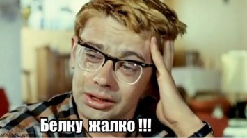 Гифки дня