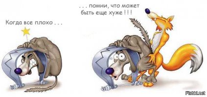 Юмор не для всех