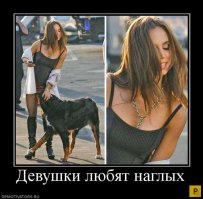 Стюардесса приняла собаку, которая 6 месяцев ждала её за пределами отеля  