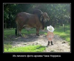 Подборка демотиваторов