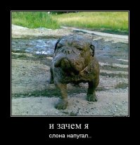 Неприятности случаются с каждым: свежая подборка курьезов