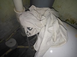 Это пенёк на моём пути…

А это тряпка на бачке унитаза. Совершенно случайно так получилось.