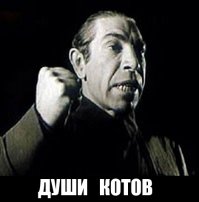 Как выжить, если тебя пытаются утопить: советы «морского котика»