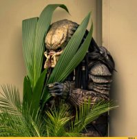 Всякая всячина