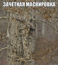 Всякая всячина