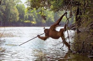 6 версий появления человеческого интеллекта