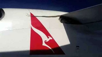 Это не та же змея путешествует?:)