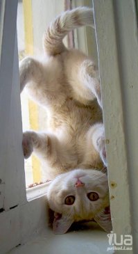 все прочитал, заворачивай обратно...