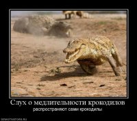 Подводная прогулка с крокодилами