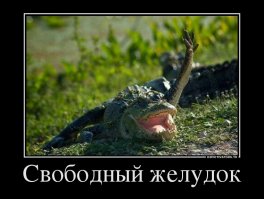 Подводная прогулка с крокодилами