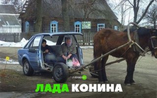 поляки особо не парятся