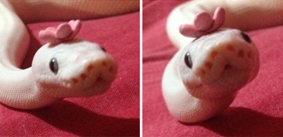 ми-ми-метр зашкалило.