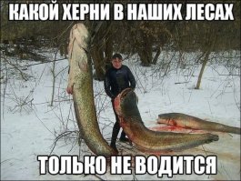 Намекать нужно правильно 