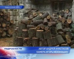 Медицина, астрономия, математика и ремёсла в Китае, Индии и Аравии не выходили а дворцовые стены. Простой люд же обрабатывал поля каменными мотыгами и питался плошкой риса в день.
  
Что касается России - в "дырку в земле" какают только в отсталых деревнях нечерноземной полосы. Ето же касается и горячей воды.  

Кстати, скоро и во всей Украине с горячей водой будут проблемы. И только Киев будет сверкать бриллиантом в короне шоколадного короля.