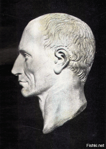 Просто очень удачный фотошоп)