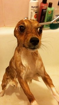 #Чучундрочка