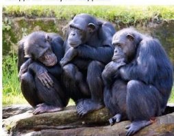 Нам стало значительно веселее, правда Абрам?