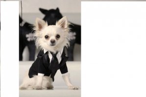 У него костюмчик неправильный, вот и приуныл.