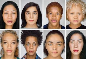 Метисы такие лапочки... И ещё лапочки... И ещё...