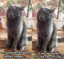 Беларус по имени Алик, который умеет регулировать погоду