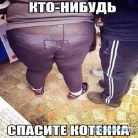  Ох уж эти девушки в леггинсах