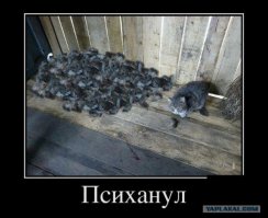 Чутка психанул 