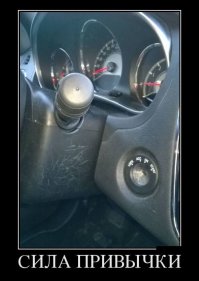 30 позитивных картинок, которые скрасят понедельник 