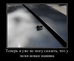 30 позитивных картинок, которые скрасят понедельник 