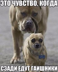 30 позитивных картинок, которые скрасят понедельник 